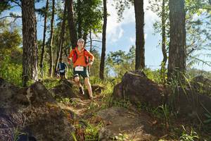 BIB: 
                            <button type="button" onclick="openModal(18933458)" class="btn btn-primary btn-sm float-right btn-popup" data-toggle="modal" data-target=".modal-high-quality">
                        <i class="fas fa-shopping-cart"></i> Add to Cart
                    </button>
                                            <button type="button" onclick="isThisMe(18933458, true)" class="btn btn-success btn-sm float-right btn-popup btn-isme hidden" data-toggle="tooltip" data-placement="bottom" title="นี่คือรูปของคุณใช่ไหม คลิกที่นี่เพื่อเอาเข้าอัลบั้ม">
                        <i class="fas fa-plus"></i> Add to album
                    </button>
                    <button type="button" onclick="isThisMe(18933458, false)" class="btn btn-warning btn-sm float-right btn-popup btn-isnotme hidden">
                        <i class="fas fa-ban"></i> Remove from album
                    </button>